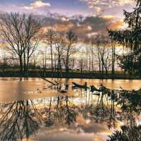 Lesen LED Bilder Bewertungen